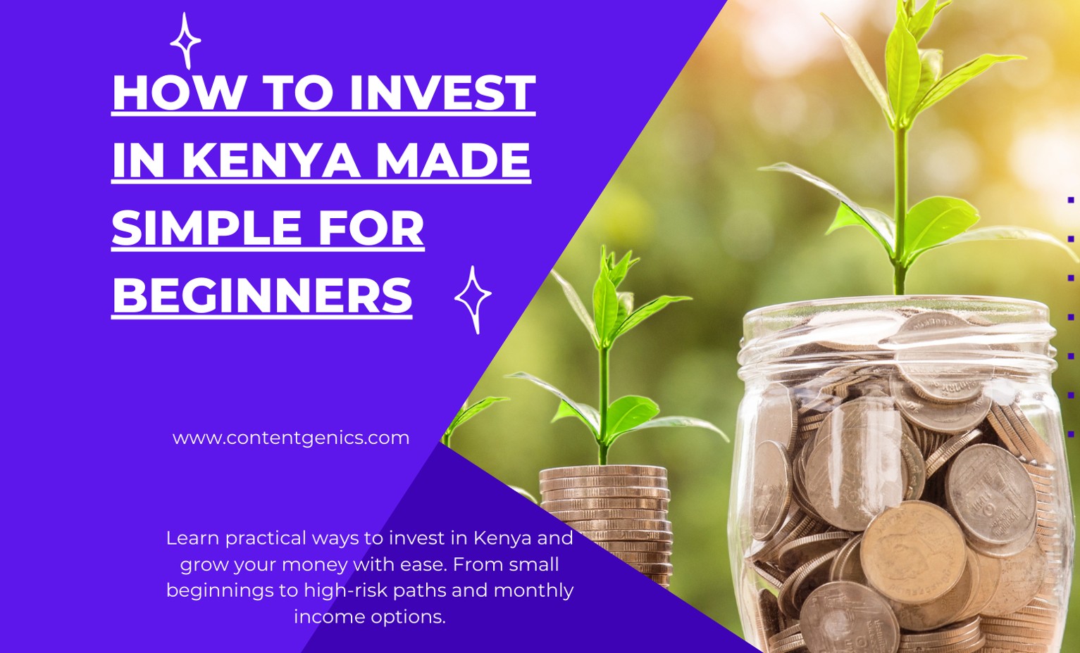 invest in kenya blog banner