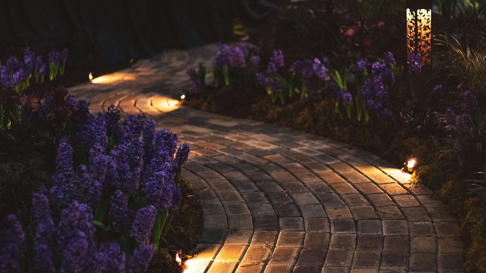 purple flowers and lights along garden pavement