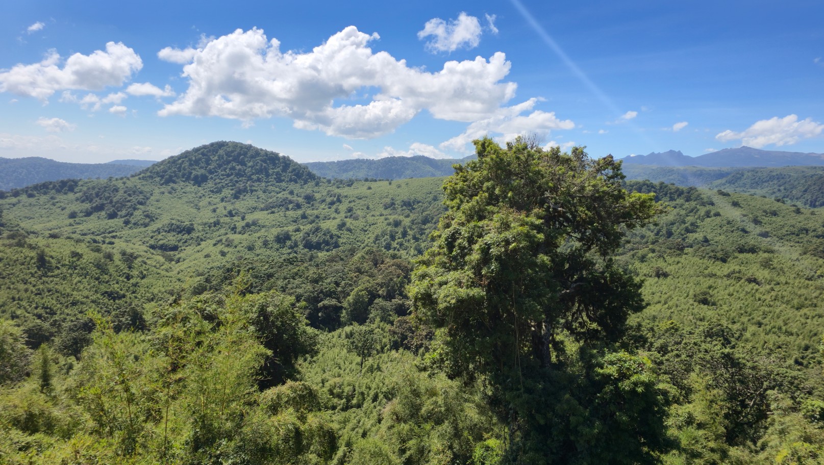 Aberdare forests and hills